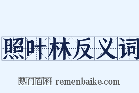 照叶林反义词是什么意思的图片